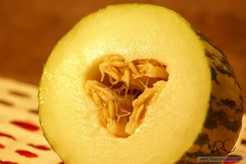 Fotos de Comida melon exotico