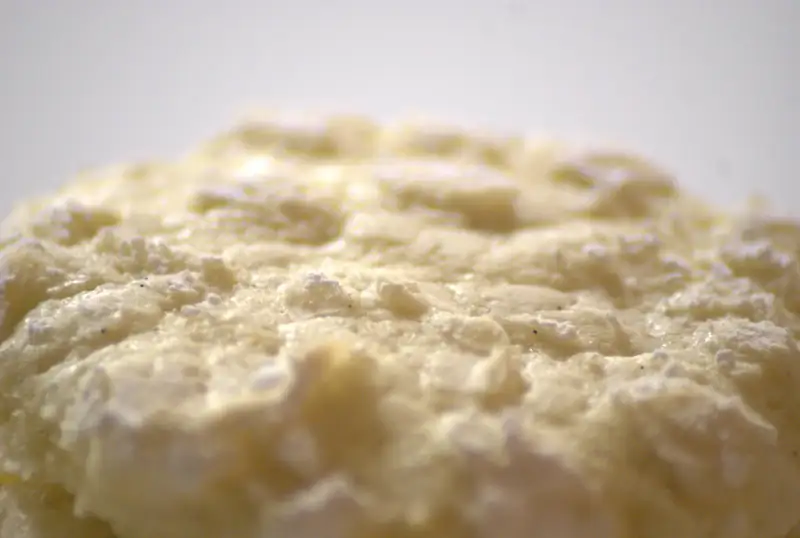 cookie